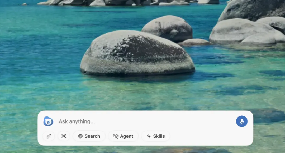 Chapeta custom skills panel with built-in and user-created skills - expanded view